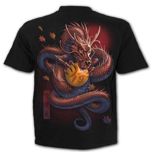 DS149600 Tshirt Samurai Black SpiralDirect